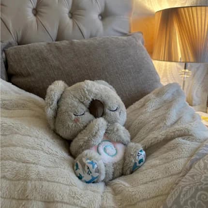 CocoLuna™ – Tavo gerovės palydovas (LT)